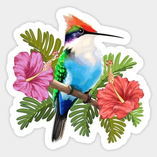 Hummingbird resting and Hibiscuses Sticker